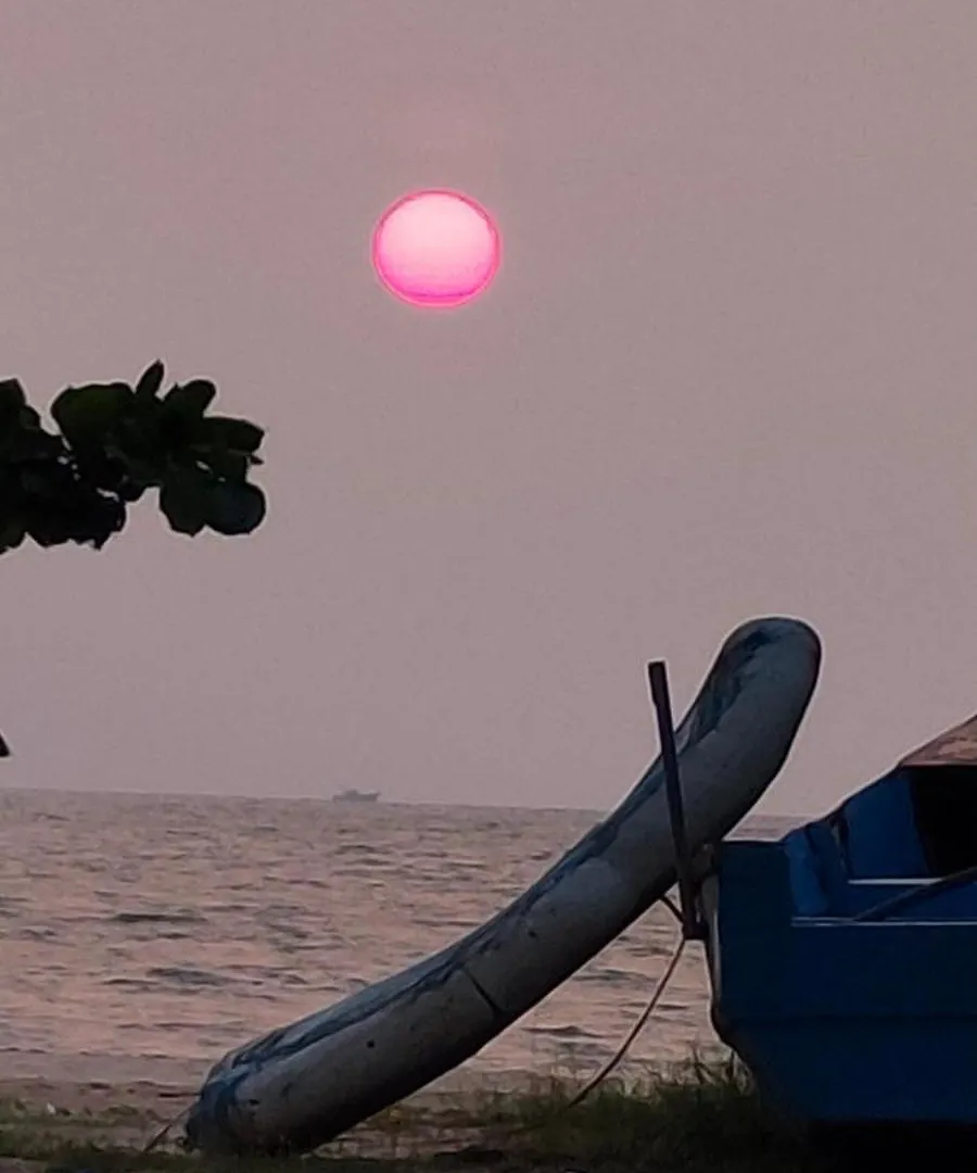 Marari Blue Whale Beach House Alappuzha India